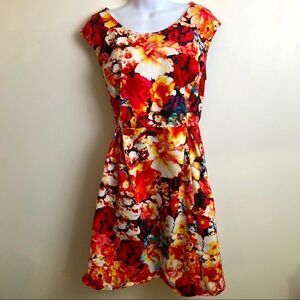 Liz Claiborne Size 14 Gorgeous Dress!